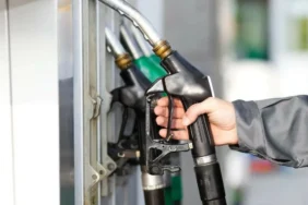 Benzine Zam Geliyor