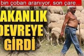 150 bin çoban aranıyor!