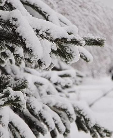 6 ilde okullara kar tatili!