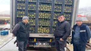 Gelendost’ta vergili tarım elma pazarında zirvede!