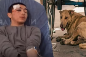 Sahipsiz sokak köpekleri Isparta'da gence saldırdı