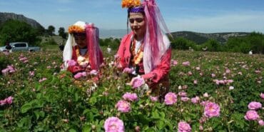 Isparta Uluslararası Gül Festivali 2025: Güller diyarında büyüleyici bir deneyim