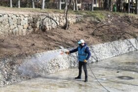 Isparta Belediyesinden larva mücadelesiyle yaz hazırlığı