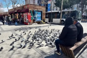 Nüfus Azalıyor, Yaşlılık Artıyor