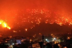 bursa