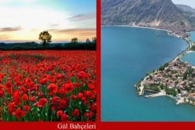 gulbahceleriegirdir