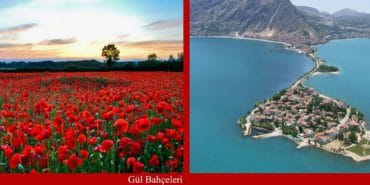 gulbahceleriegirdir