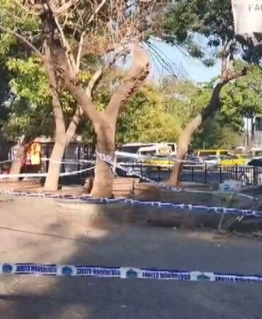 Kaldırımda yürüyen yayaların üzerine ağaç devrildi! 3 yaralı