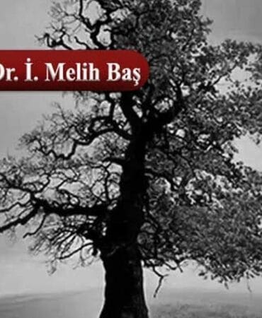 İklim Yasası’nın ekonomi politiği: İklimi değil sistemi değiştirmek!