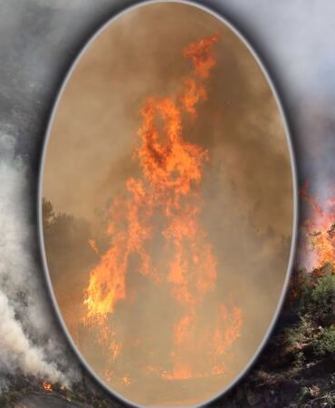 Ciğerlerimiz yanıyor! 50 bin kişi tahliye edildi