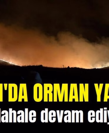 Afyon’da orman yangını: Müdahale devam ediyor