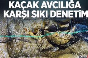 Kaçak Avcılığa Karşı Sıkı Denetim