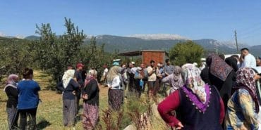 Eğirdir’de Elma Üretimi Tehlikede: Serpil Köyü’nün Sulama Sorunu Devam Ediyor