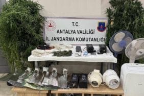 Manavgat’ta Kenevir Yetiştiriciliği Operasyonu: 11 Bitki ve 45 Gram Esrar Ele Geçirildi