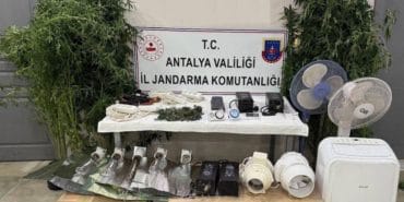 Manavgat’ta Kenevir Yetiştiriciliği Operasyonu: 11 Bitki ve 45 Gram Esrar Ele Geçirildi