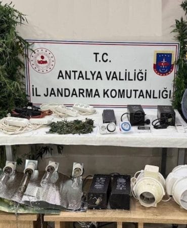 Manavgat’ta Kenevir Yetiştiriciliği Operasyonu: 11 Bitki ve 45 Gram Esrar Ele Geçirildi