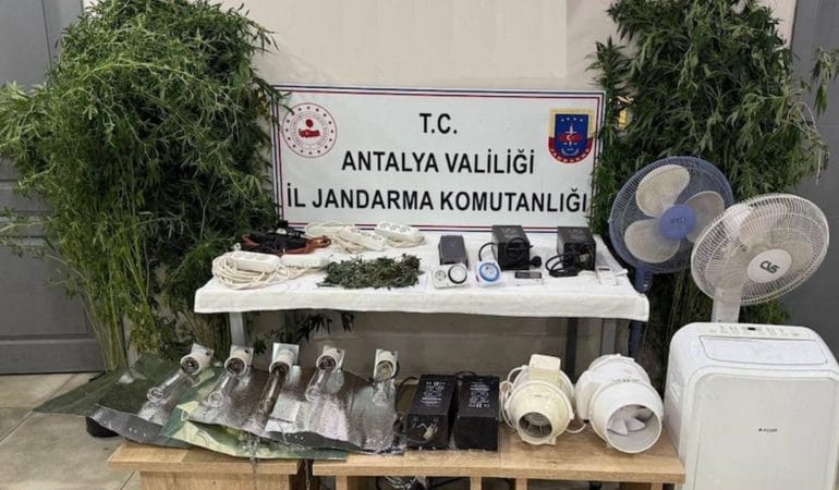 Manavgat’ta Kenevir Yetiştiriciliği Operasyonu: 11 Bitki ve 45 Gram Esrar Ele Geçirildi