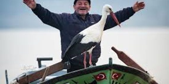 Yaren Leylek’in yavruları göç yolunda