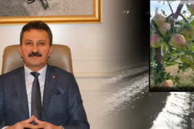 Isparta’da Şiddetli Dolu Felaketi: Elma Bahçelerinde Ağır Hasar