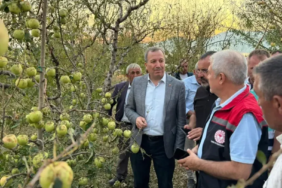Isparta’da Dolu Felaketi: Çiftçilere 4700 Dekarlık Elma Bahçesi Desteği