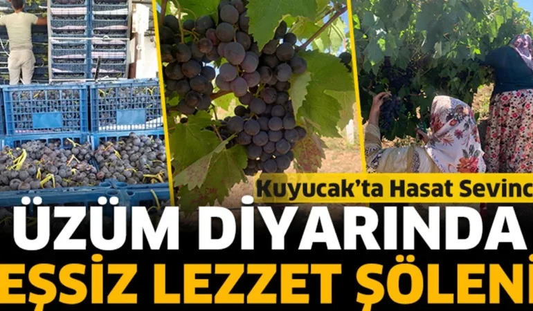 Kuyucak Köyü’nde Rekor Üzüm Hasadı: 1000 Ton Hedefi