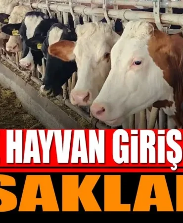 Şap Hastalığı Salgını: Burdur’da 9 Köye Hayvan Giriş-Çıkışı Yasaklandı