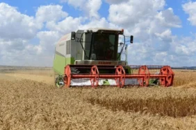 Isparta Tarımında Fiyat Şoku: Gübreden Sebzeye Yüzde 85’e Varan Artışlar