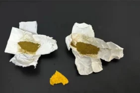 Isparta'da Geniş Kapsamlı Uyuşturucu Operasyonu: 14 Gram Bonzai ve 3 Gözaltı