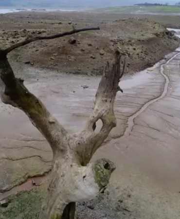 Türkiye'de Kuraklık Alarmı: Son 52 Yılın En Düşük Yağış Seviyesi Kaydedildi