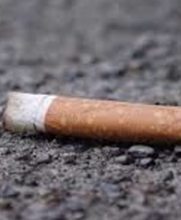 Berlin'de Bolu Modeli: Çöp Atana Yüksek Ceza