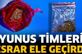 Yunus Timleri Esrar Ele Geçirdi