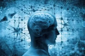 Beynin Geleceği Öngörme Yeteneği Keşfedildi: Hipokampus Sürprizi