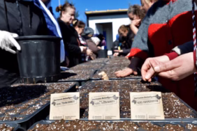 Bornova'da Kadın Üreticiler Kent Bostanlarında Sezona Başladı