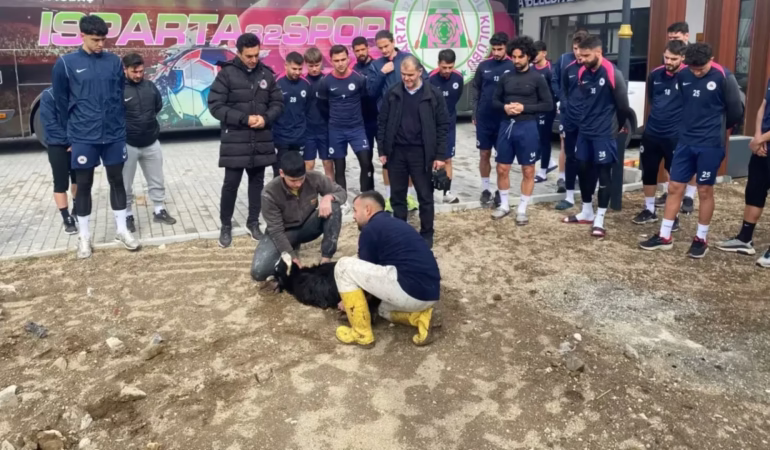 Isparta32spor Kafilesi Uçak Paniği Sonrası Şükür Kurbanı Kesti