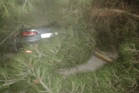 Isparta’da Fırtına Kabusu: Ağaçlar Araçların Üzerine Devrildi