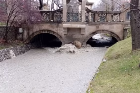 Isparta'da Şiddetli Yağış Sonrası Dereler ve Su Yatakları Doldu