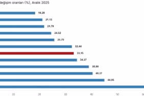 Tarımsal Girdide Yıllık Artış: Veteriner Masrafları Zirveyi Gördü
