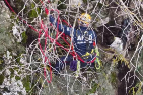 Burdur Çeltikçi'de Dağda Mahsur Kalan Keçi AFAD Ekiplerince Kurtarıldı