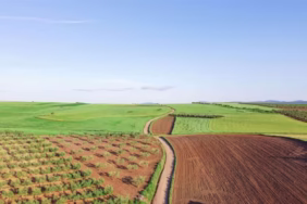 Isparta'da KDV Muafiyetli 10 Arsa Açık Artırmayla Satışta