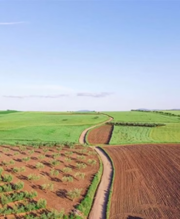 Isparta'da KDV Muafiyetli 10 Arsa Açık Artırmayla Satışta