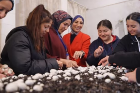 Meslek Lisesi Öğrencileri Okulda 200 Kilo Mantar Üretti