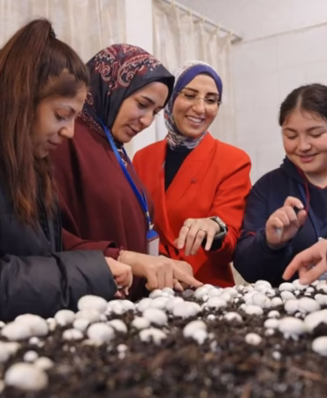Meslek Lisesi Öğrencileri Okulda 200 Kilo Mantar Üretti