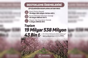 Çiftçiye 19,5 Milyar TL'lik Tarımsal Destek Ödemesi Başlıyor