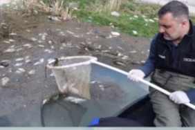 Eğirdir Gölü'ndeki Balık Ölümleri İçin Kapsamlı İnceleme Başlatıldı