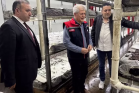 Isparta'ya 21 Milyon TL'lik Dev Mantar Üretim Tesisi Kuruluyor