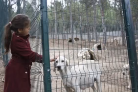Isparta Hayvan Rehabilitasyon Merkezi İçin Dev Genişleme Kararı