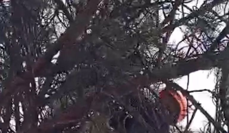 Isparta İstasyon Caddesi'nde Mahsur Kalan Kediye İtfaiye Şefkati