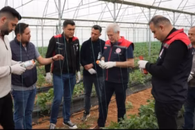 Isparta Tarımında Devrim: Seraları Artık Avcı Böcekler Koruyor