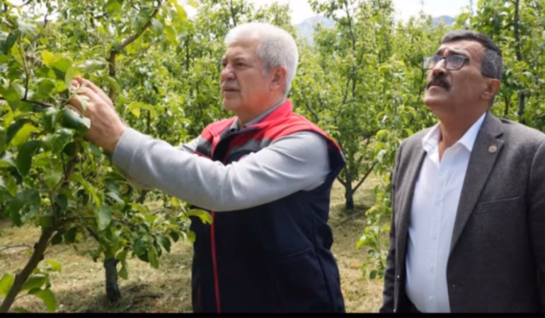 Isparta'da Tarımı Vuran Dolu Sonrası Hasar Tespit Seferberliği