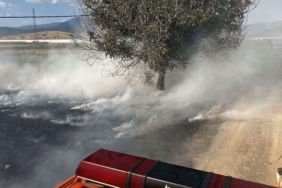 Burdur Gölhisar'daki Çiftlik Yangınında 15 Dönüm Kül Oldu